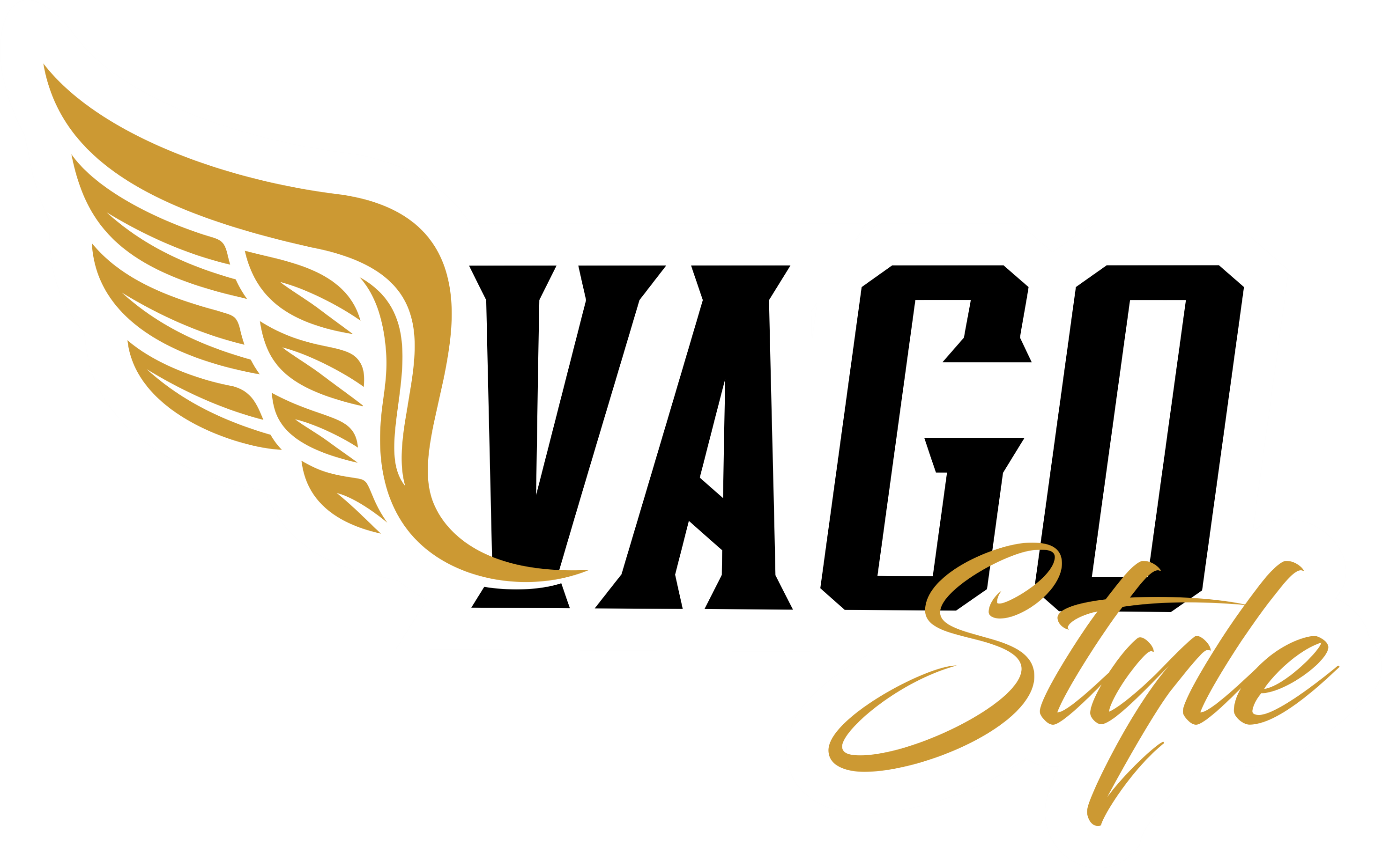 VAGOStyle